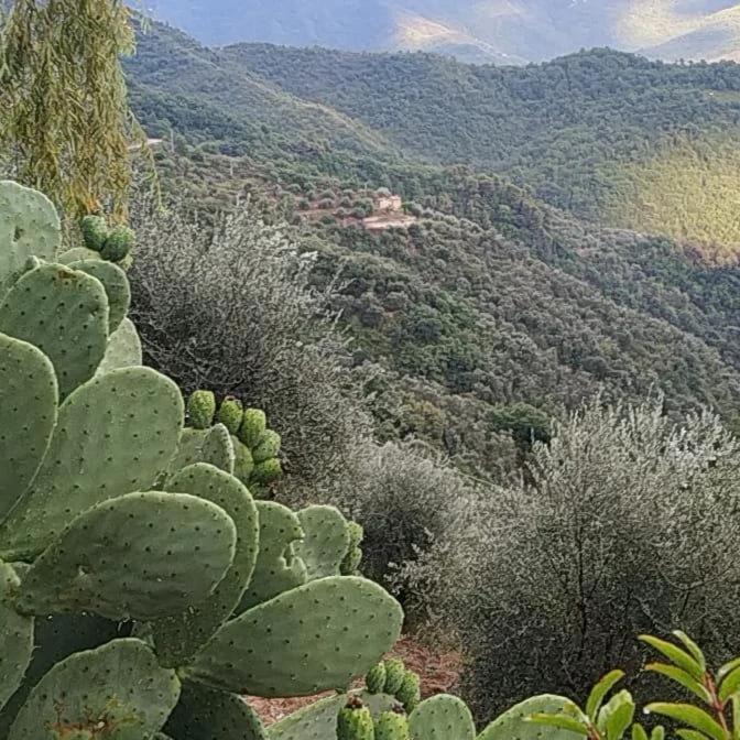 Appartamento Incantevole La Grotta Apricale Exterior photo